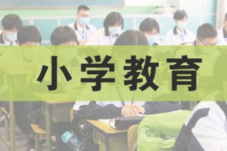 小学教育(自学考试)